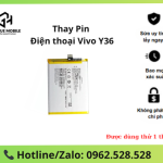 Thay pin Vivo Y36