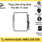 Thay Cảm Ứng iPad Pro M1 11 inch Uy Tín, Lấy Ngay